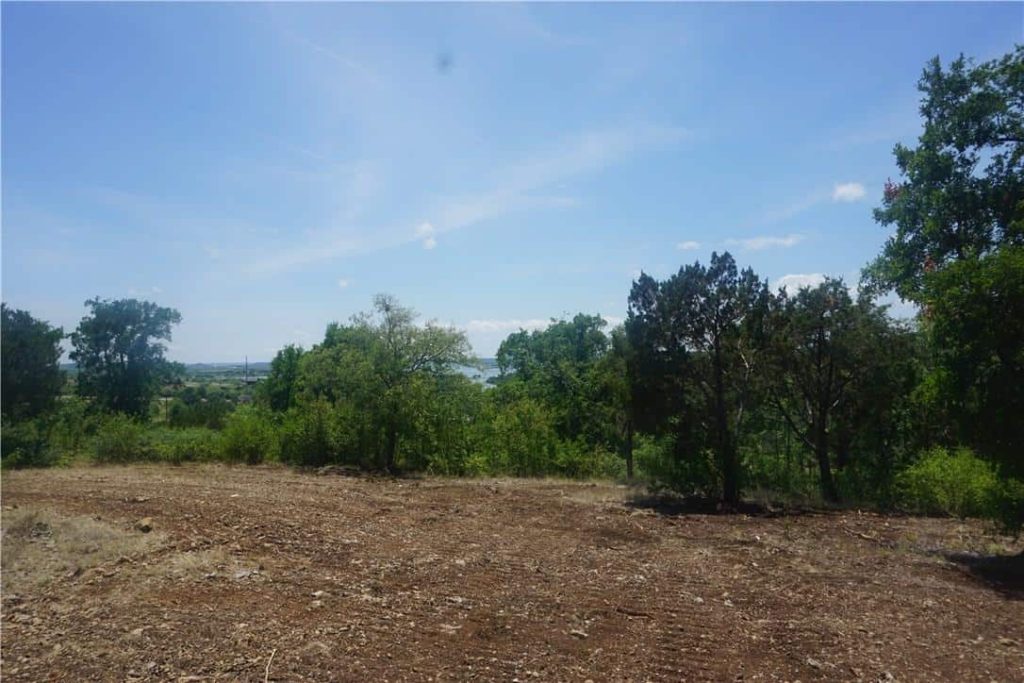 Canyon Wren lot for sale possum kingdom